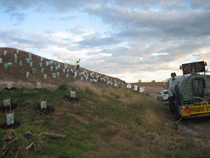 Image-2