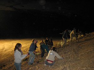 Image-4
